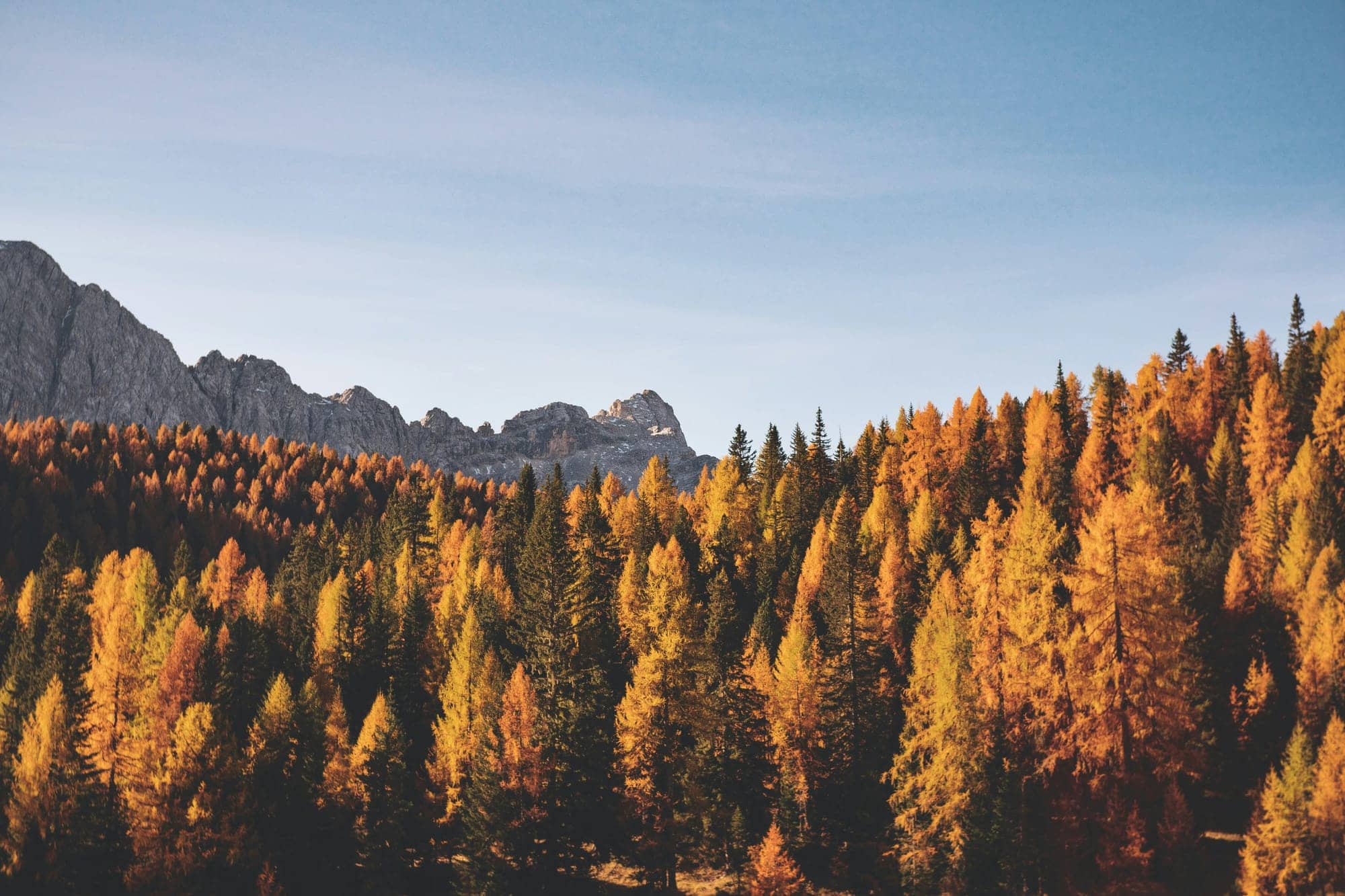 Purpose Investments Launches USD ETF Series for Its Purpose Global Bond Fund